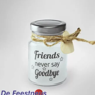 lsl-11-friends-never-say-goodbye-web-l
