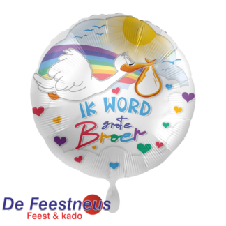 Everloon-Folie-ballon-4068