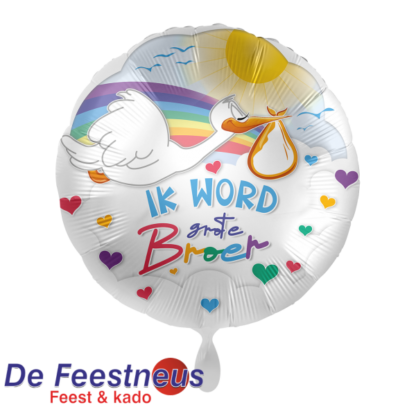 Everloon-Folie-ballon-4068