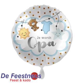 Everloon-Folie-ballon-70155