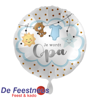 Everloon-Folie-ballon-70155