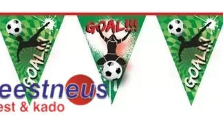 vlaggenlijn-goal-10m-15413-nl-G