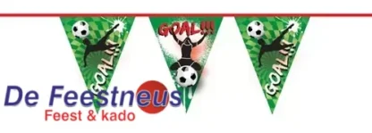 vlaggenlijn-goal-10m-15413-nl-G
