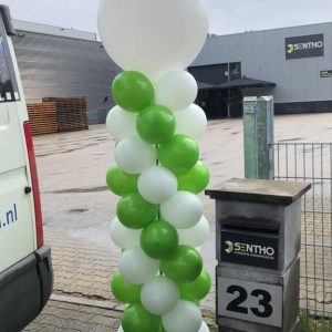 Ballonpilaar groen/wit